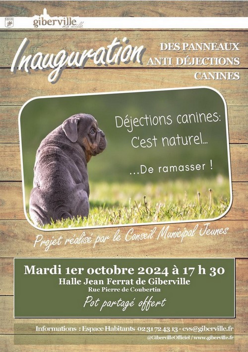 Affiche anti dejection