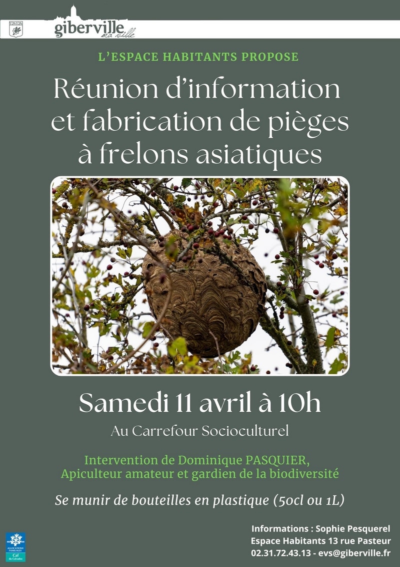 11 AVRIL FAC réunion piège frelons