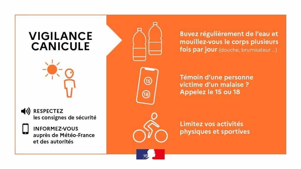 CANICULE ORANGE