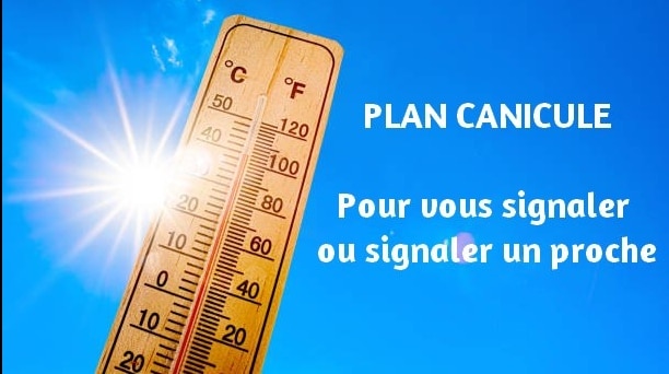 PLAN CANICULE