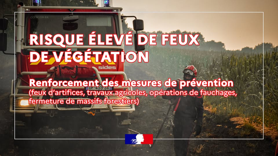 feux
